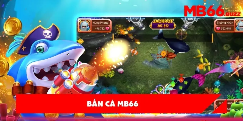 Bài viết 4