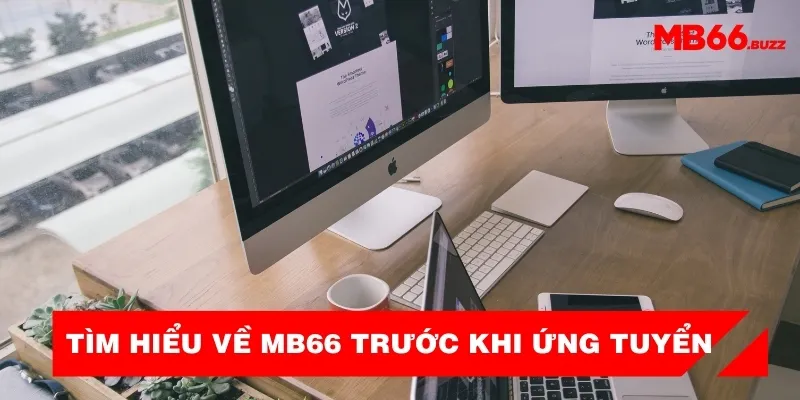tim-hieu-ve-mb66-truoc-khi-ung-tuyen