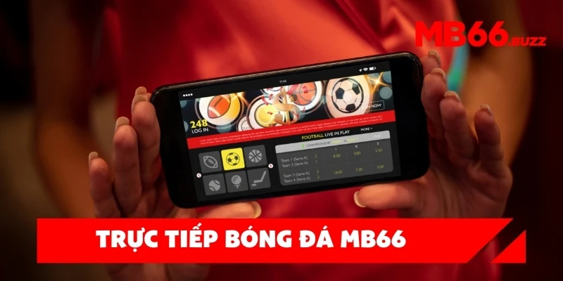 Bài viết 2