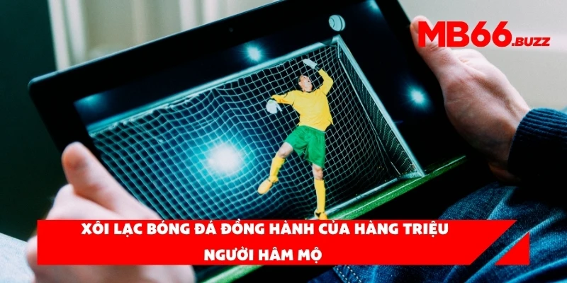 Xôi lạc bóng đá đồng hành của hàng triệu người hâm mộ bóng đá tại Việt Nam